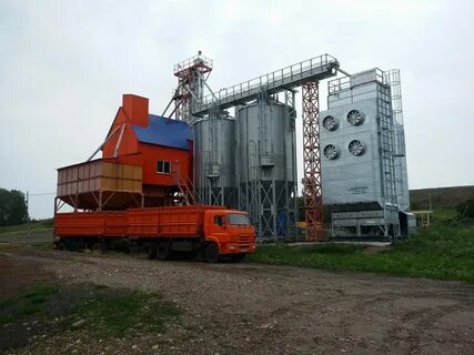 Новая зерновая