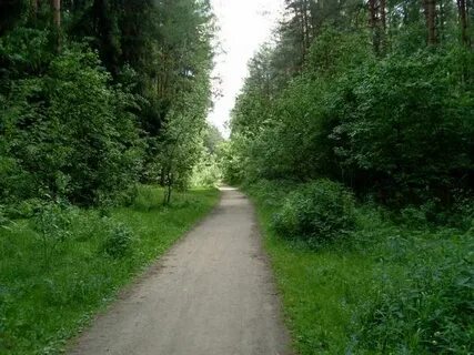 1 просек