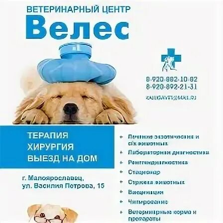 Ветклиника шилово воронеж. Ветлечебница псков велес. Псков ветеринарные клиники велес. Ветеринарная клиника малоярославец велес. Велес псков ветеринар.