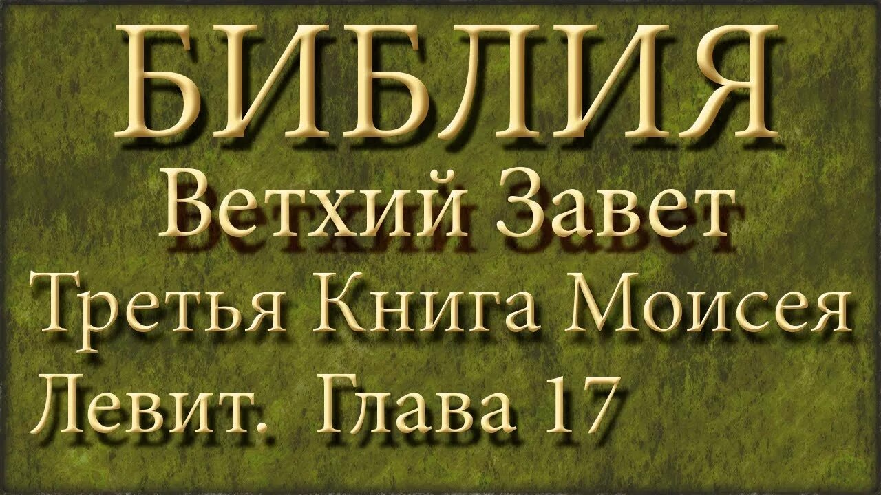 Ветхий завет чисел слушать. Библия ветхий завет книга. главы библии ветхого завета. левит библия. библия третья глава.