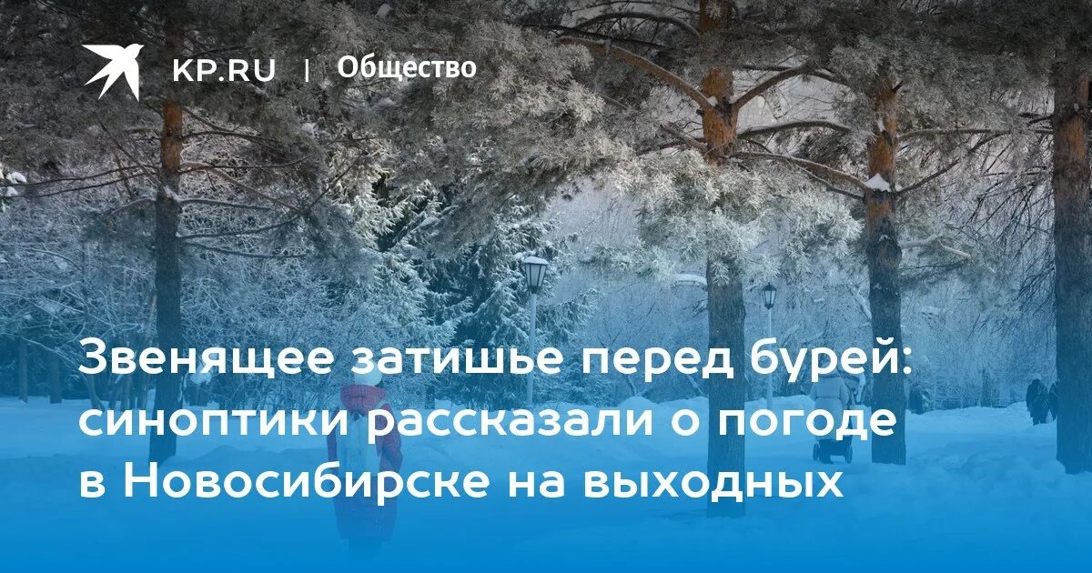 Физминутка затишье перед бурей. Затишье перед бурей цитаты. затишье перед праздником.