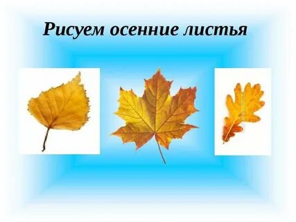 Видит 1 класс