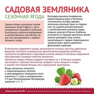 Клубника свежая чем полезна для организма женщины