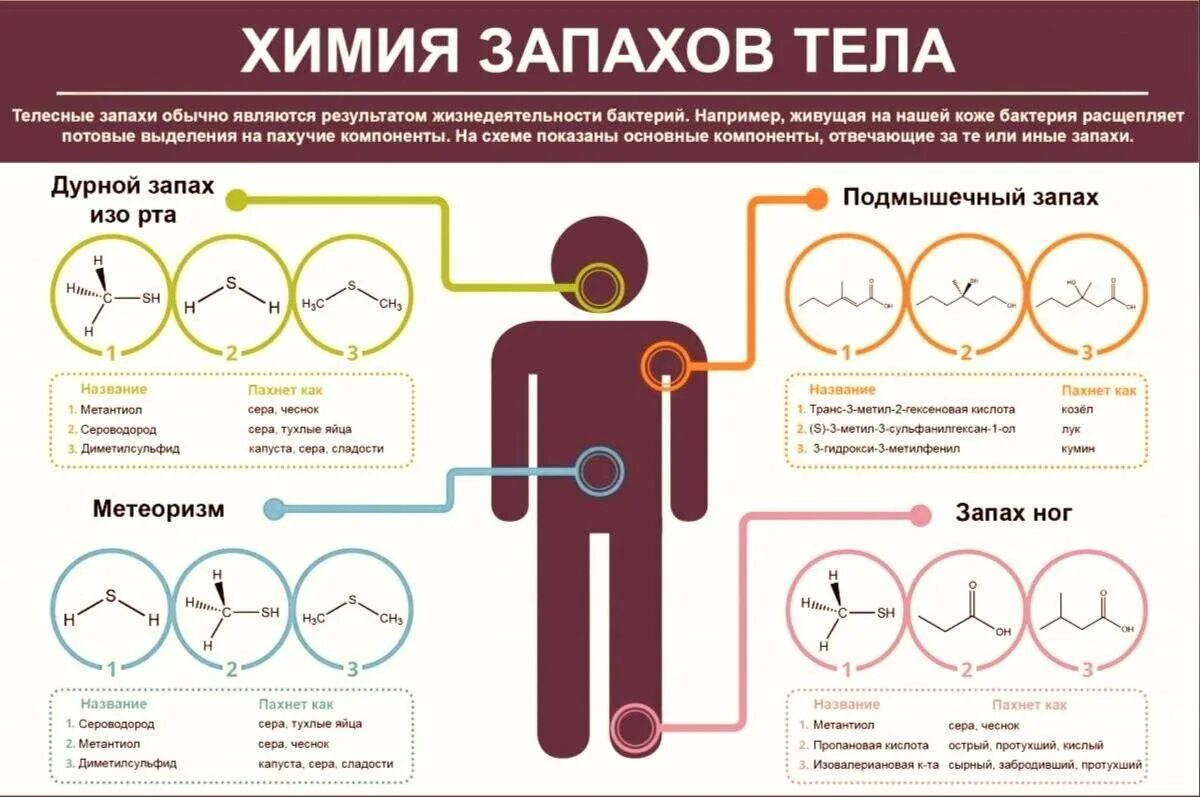 Человек запаху определяет. Запах тела человека. Запах тела запах. Причина запаха от тела человека. Запах тела и болезни человека.