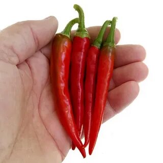 E pepper