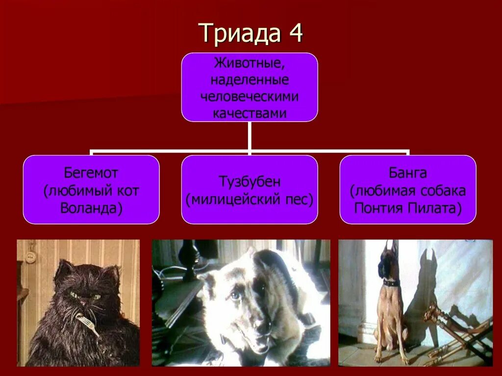 Автор наделяет неодушевленного героя человеческими качествами