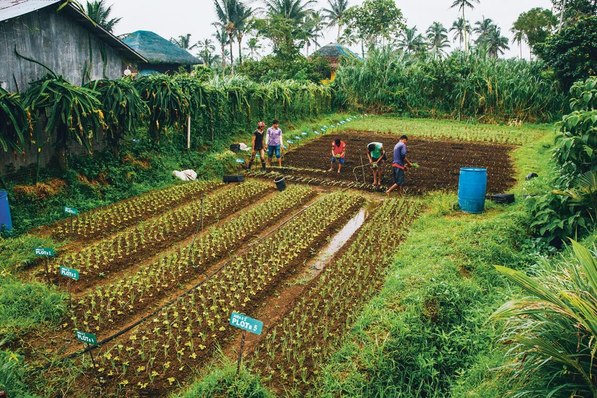 Natural farming. Филиппины Агро. U.K Agro Tourism. Agro Tourism is main sector.