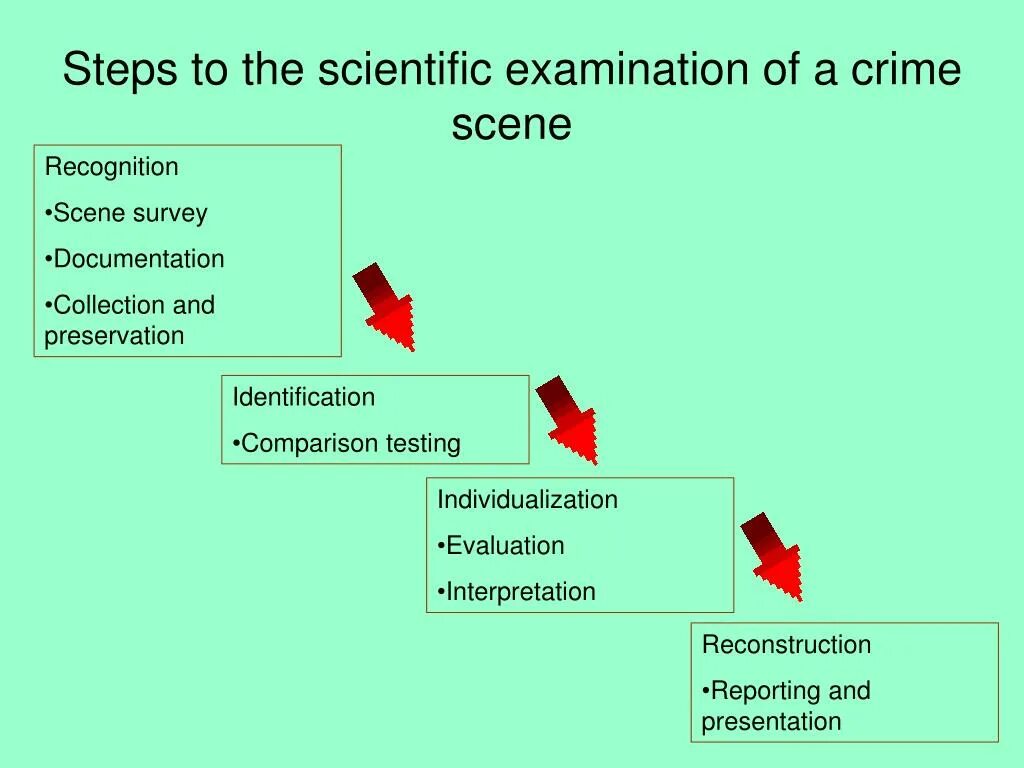 The steps included in