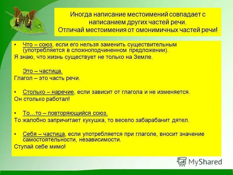 Чем отличается местоимение от прилагательного