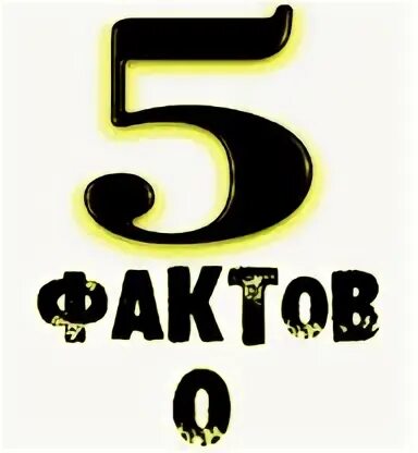 5 dzen