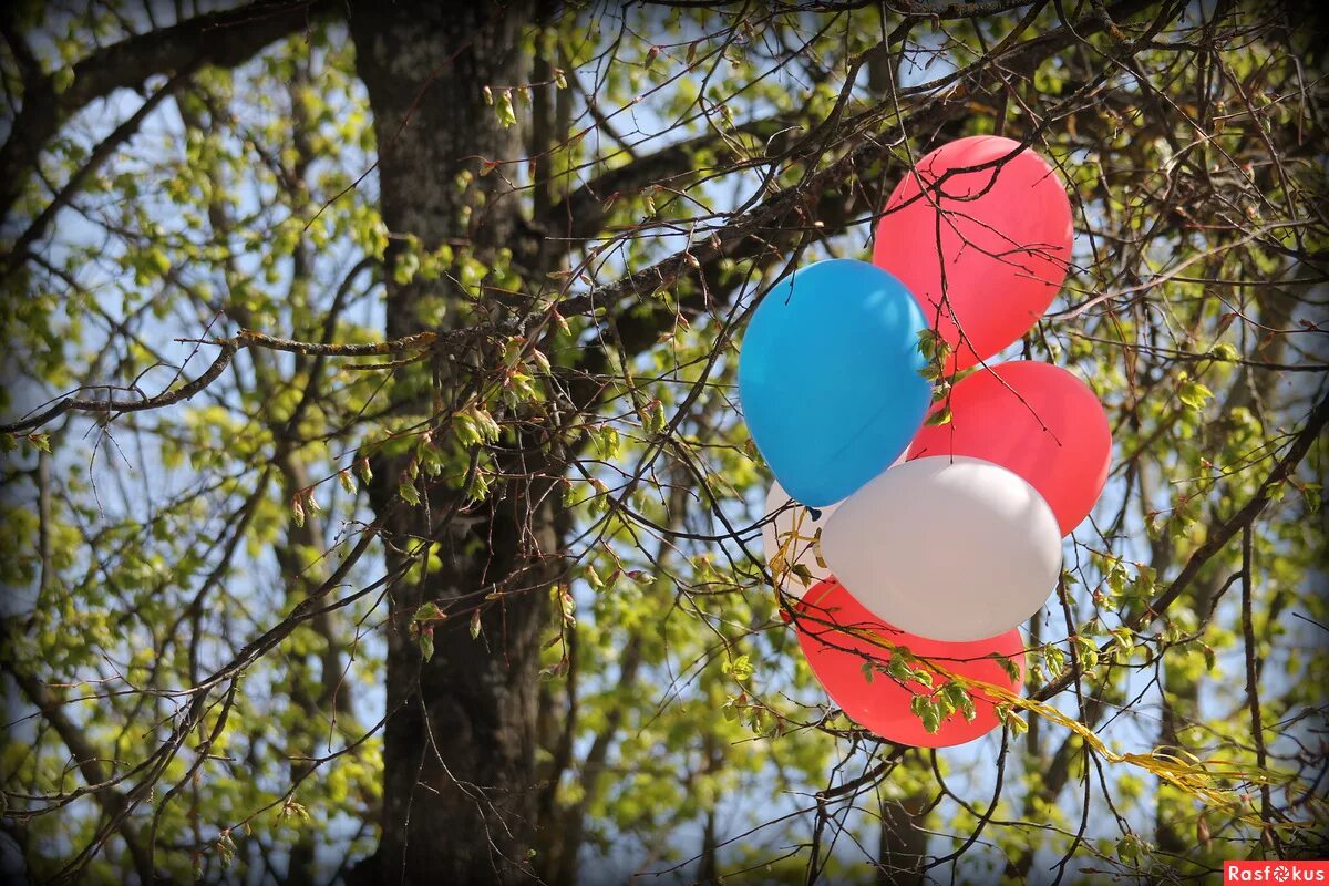 Воздушные шары весной. Шары весной. Шарики весенние. Шарики майские праздники.