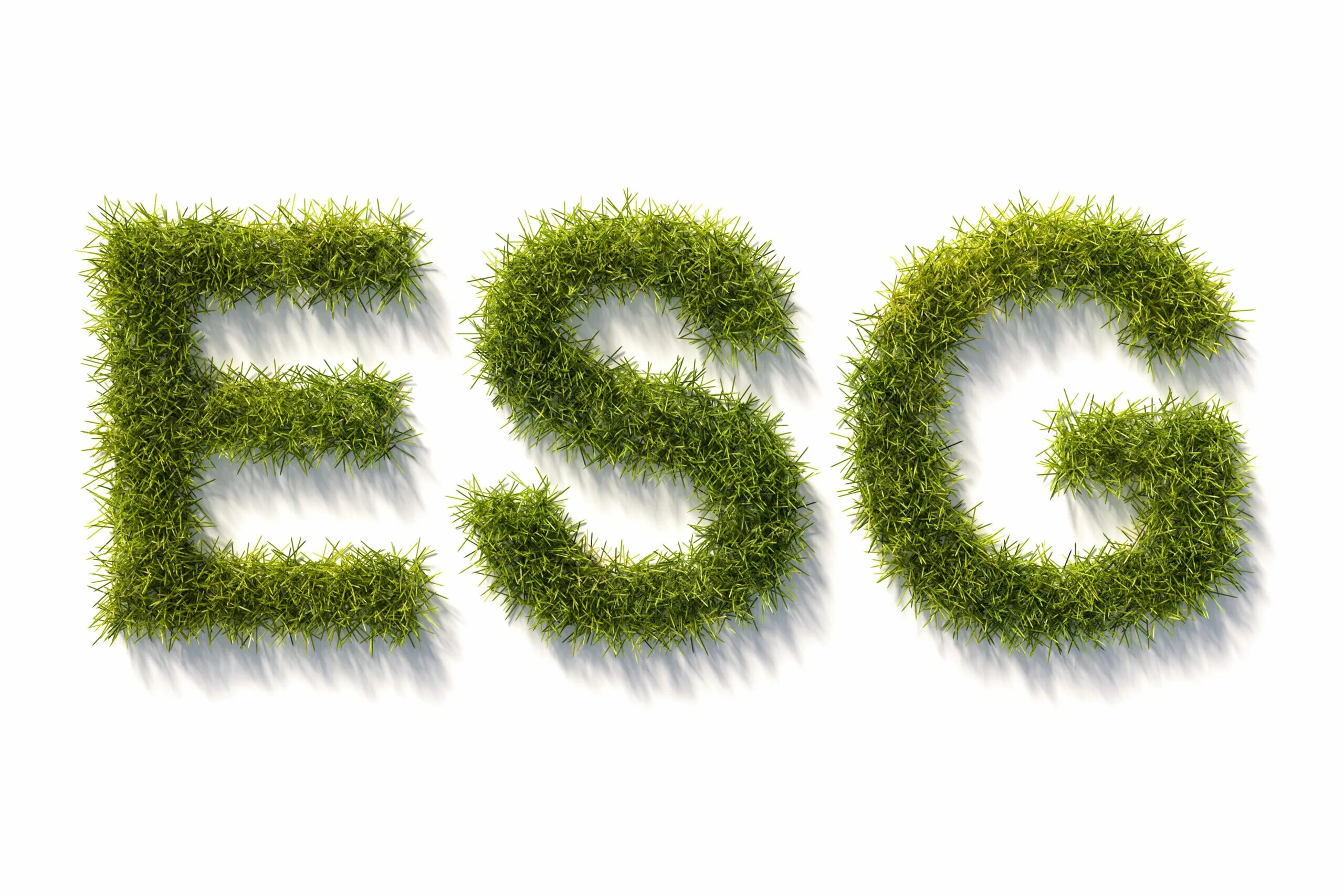 Esg эксперты. Esg. esg картинки. модные буквы esg. esg картинки для презентации.
