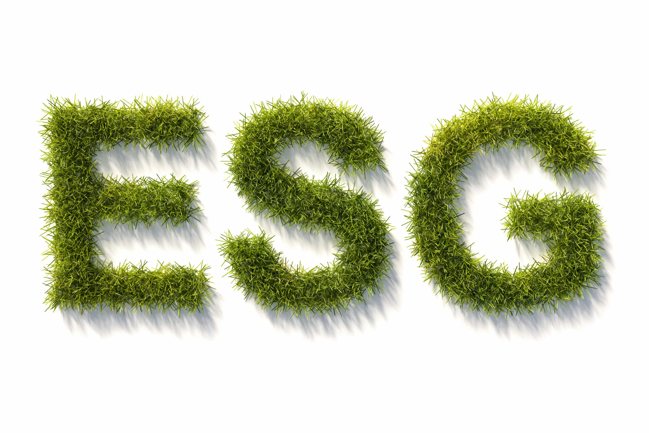 Esg b. ESG. ESG картинки. Модные буквы ESG. ESG картинки для презентации.