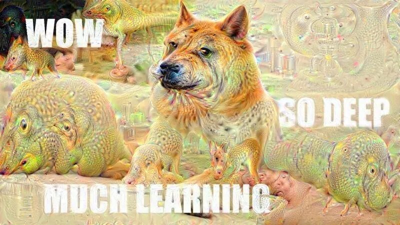 It is so deep. Мемы про машинное обучение. machine learning мемы. мем про deep learning.