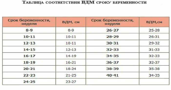 Шейка 16 мм