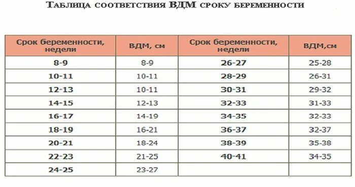 Шейка в 25 недель