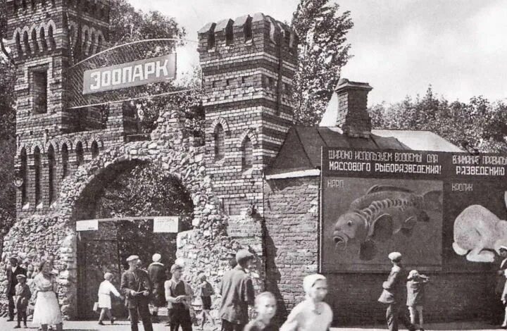 Кем был организован московский зоосад 19 века. Московский зоопарк 1864. московский зоологический сад 1864. открытие московского зоопарка в 1864. 1864 г.- открыт московский зоопарк..