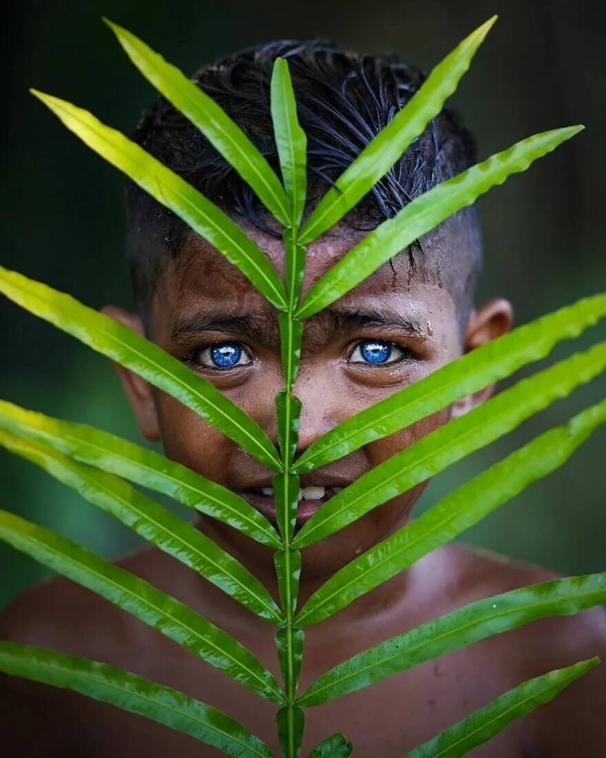 Джунглях живут люди. Племя на острове бутунг Индонезия. Синдром Ваарденбурга племя.