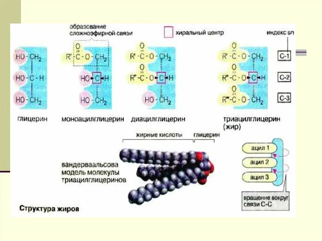 Хиральный центр это. Хиральный центр молекулы. классификация липидов биохимия. фазы превращения липидов в кишечнике. хиральный атом.