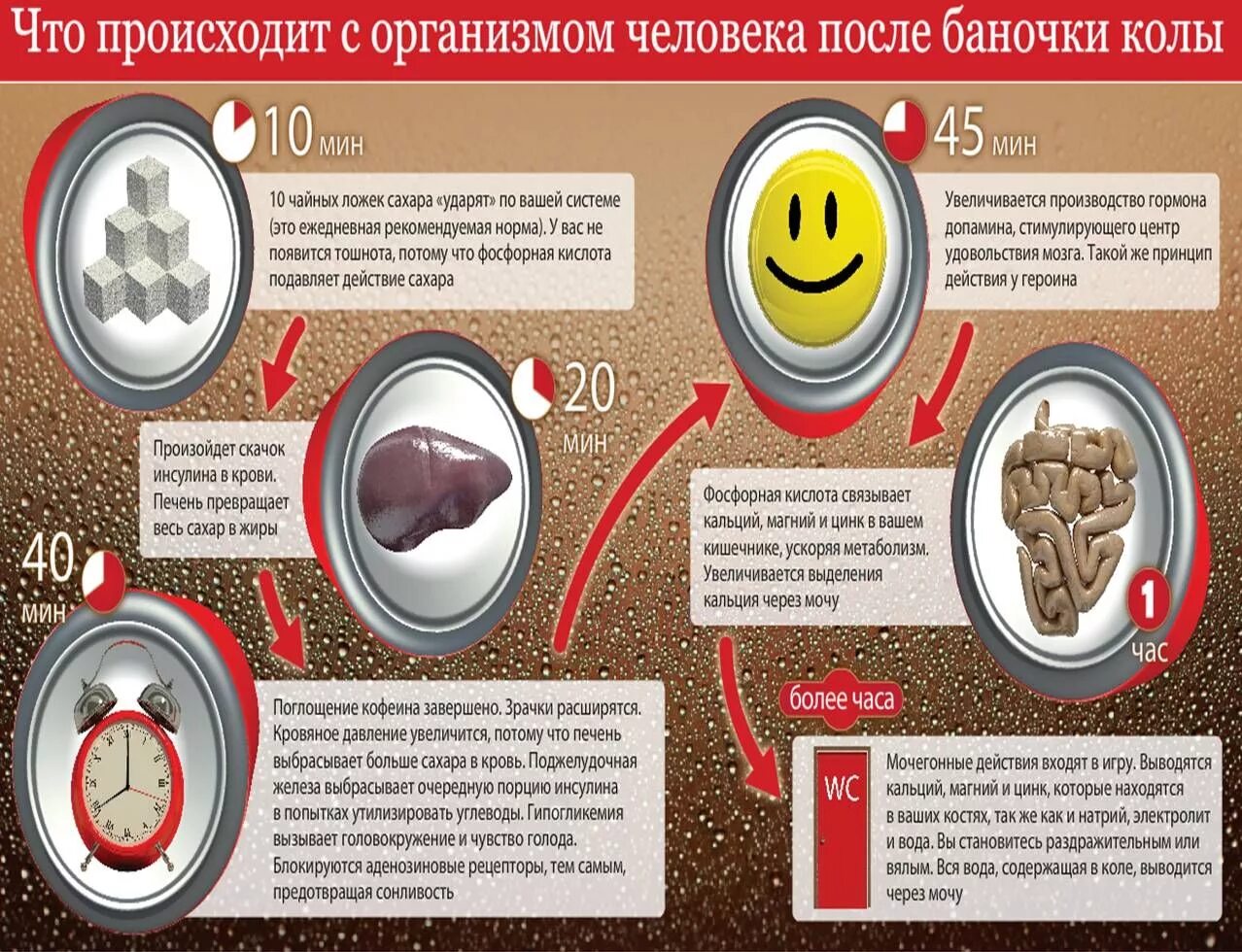 Происходит это обычно в самый. Как Кока-кола влияет на организм человека. Влияние Кока колы на организм человека. Вред Кока колы. Вред Кока колы на организм.