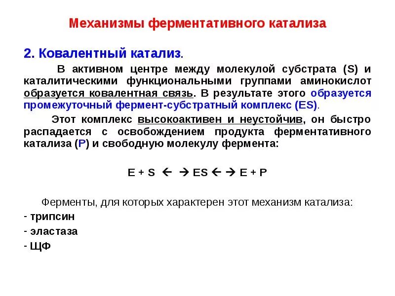 Механизм катализа. Механизм ферментативного катализа. Основы ферментативного катализа. Ферментативный катализ, механизм ферментативного катализа.. Роль функциональных групп аминокислот в катализе.