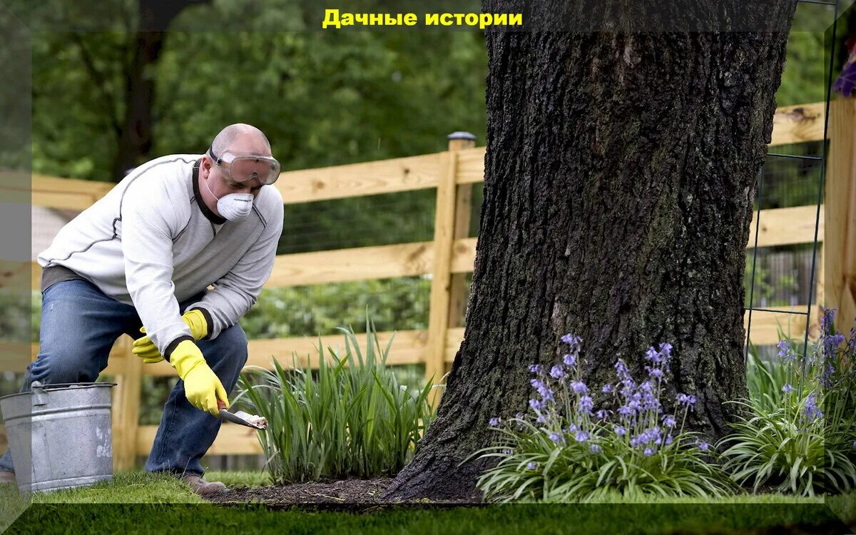 Работы в саду в апреле. OK.RU