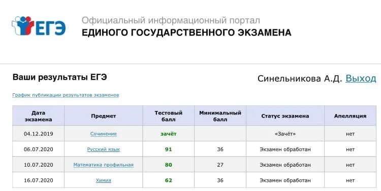 Скриншот результатов ЕГЭ. Турбо ЕГЭ. Чек ЕГЭ скрин. Результаты ЕГЭ по профильной математике. Мат 100 егэ профильная математика 2024