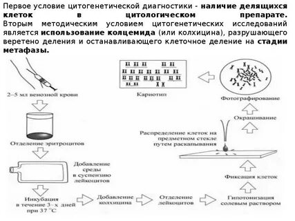 Обработка колхицином метод