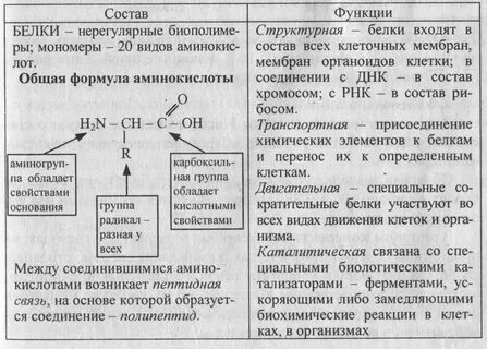 Минеральные вещества углеводы липиды вариант 1