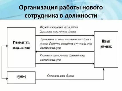 Схема дня