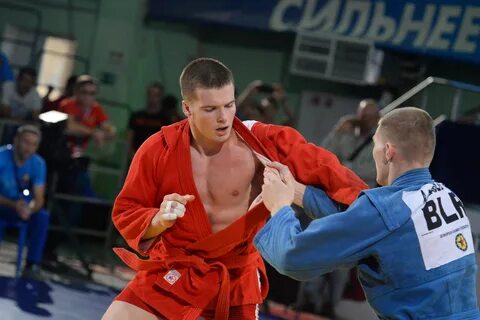 Ростов на дону блоггер самбист