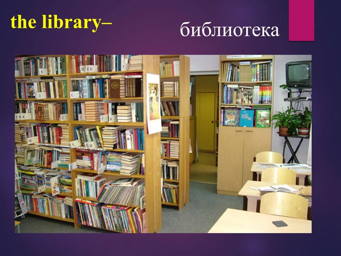 Школьная библиотека. Виды библиотек. Первые школьные библиотеки. Школьная библиотека. Детям.