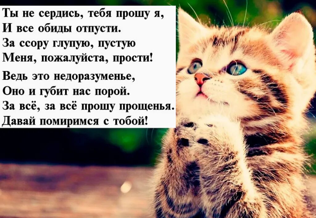 Прости за обиду любимая. Стих извинение перед мамой. Как кросиво извинитится перед памой. Как извинистя перед мамой. Стихотворение извинение.