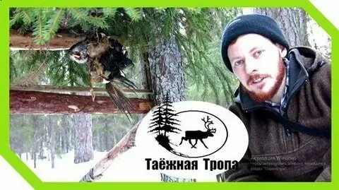Леха таежная