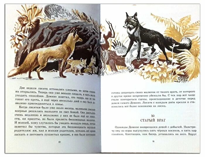 Э Томпсон рассказы о животных. Книга Эрнеста Сетон Томпсона рассказы о животных. Книга рассказы о животных Томпсон иллюстрации.