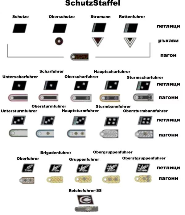 Звания сс в третьем. Петлицы СС звания. Звания СС И вермахта. Ранги СС. Звания СС от меньшего к большему.