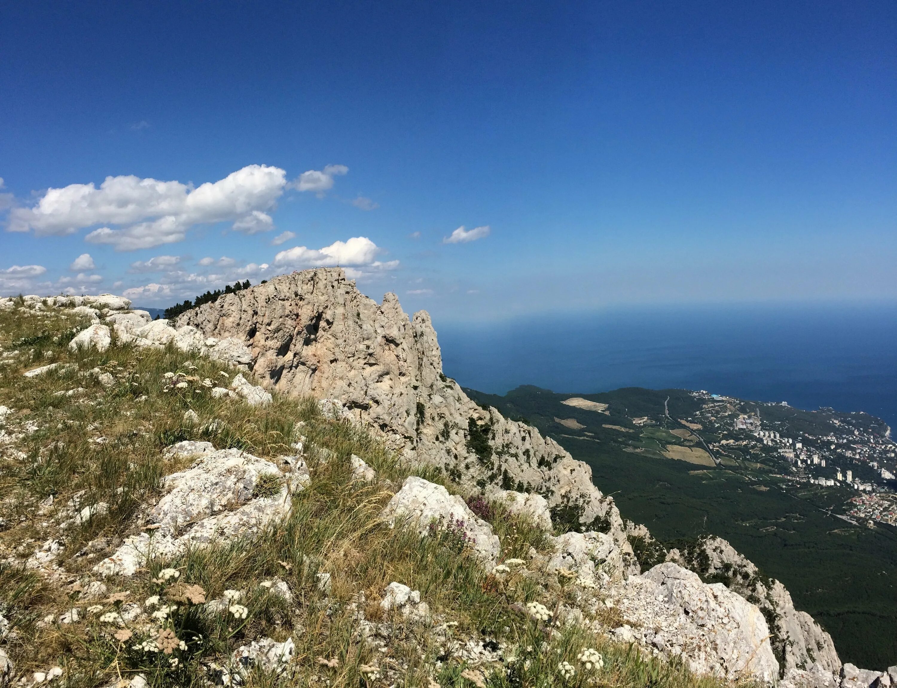 Крымские степи и крымские горы. Гора ай-Петри в Крыму. Крымские горы ай Петри. Ай Петри Крым лето. Природа красивая крымские горы ай Петри.