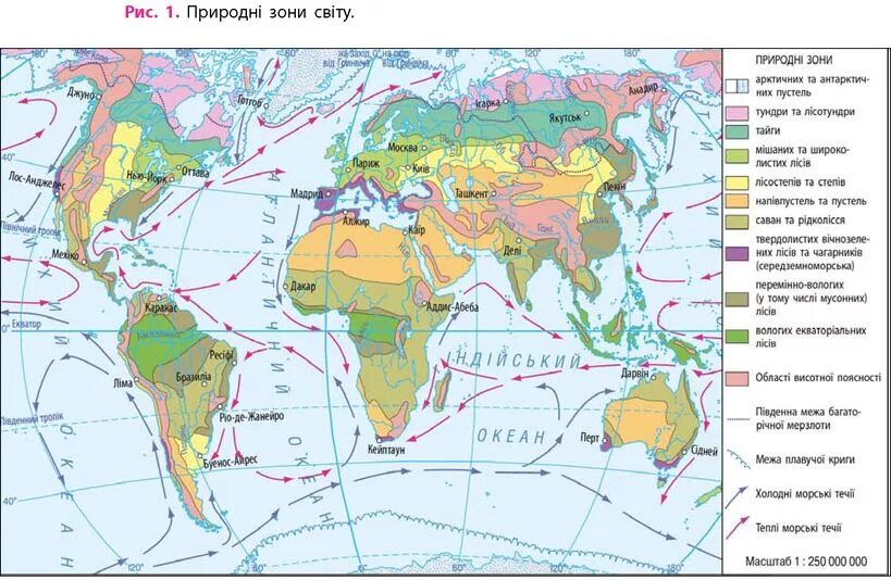 Какая природная зона занимает внутренние районы материков. Карта природных зон 7 класс география.