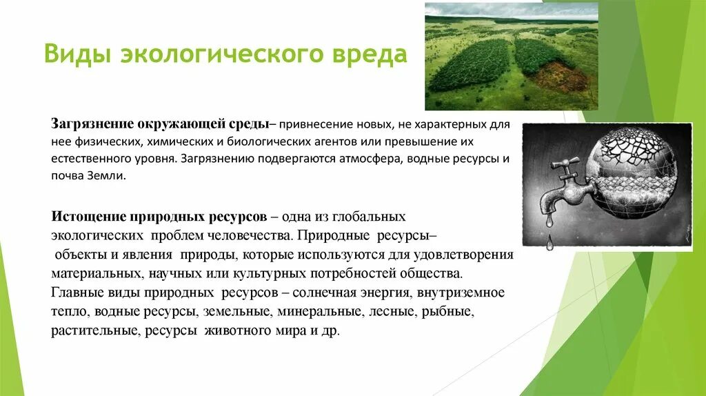 Виды экологического вреда. Понятие экологического вреда. Виды ущерба окружающей среде. Понятие и виды экологического вреда. Причинение экологического вреда