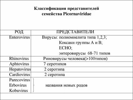 Классификация семейства