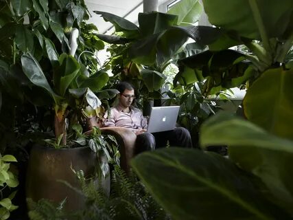 Environment google