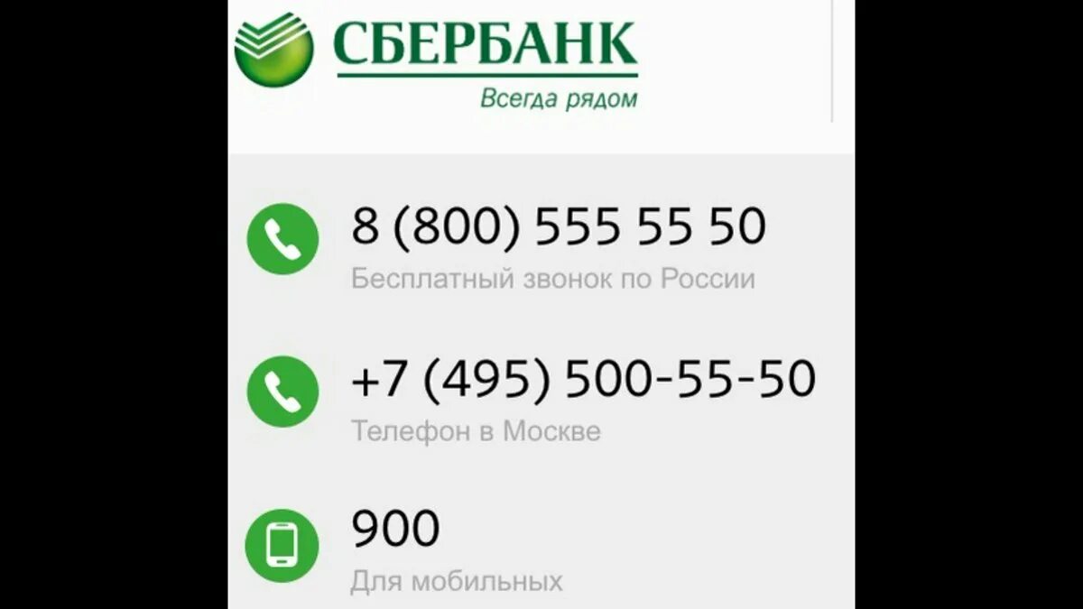 Номер телефона горячей линии Сбербанка России бесплатный. Номер Сбербанка. Сбер банк горячая Лирия.