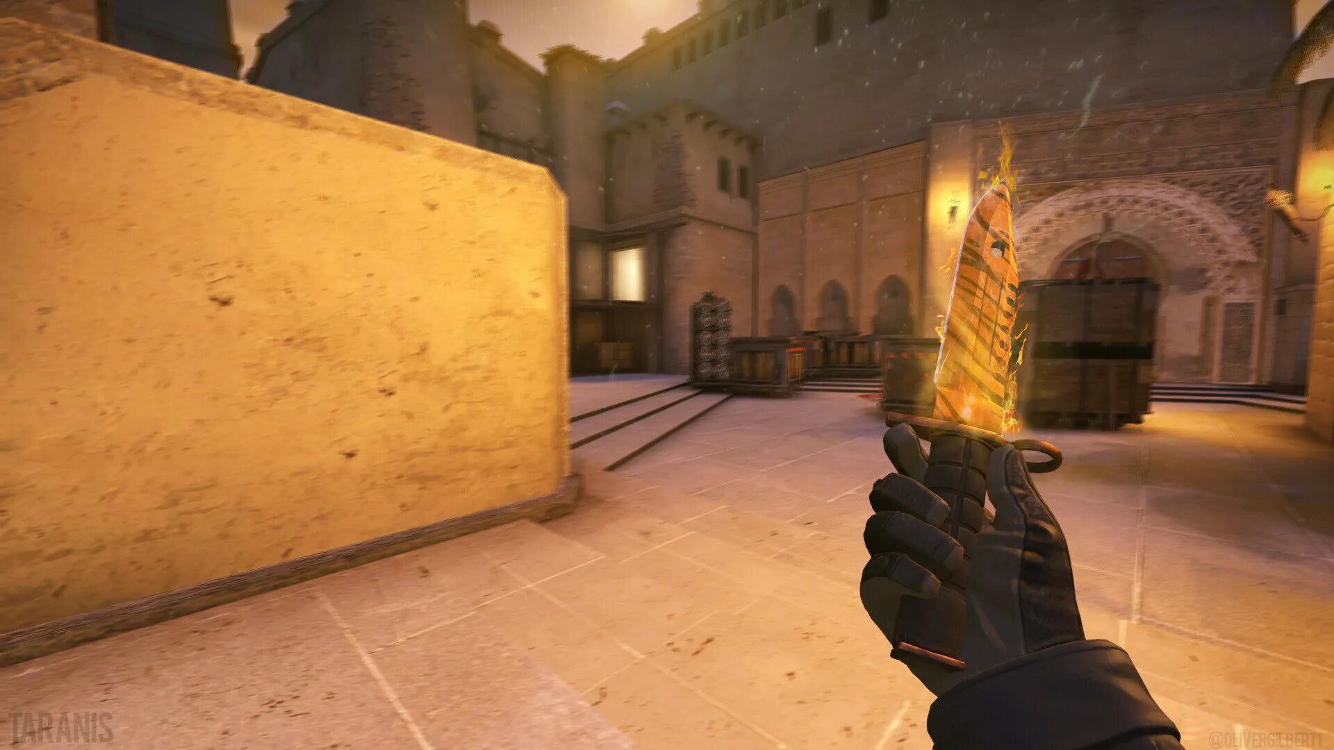 Cs inspect