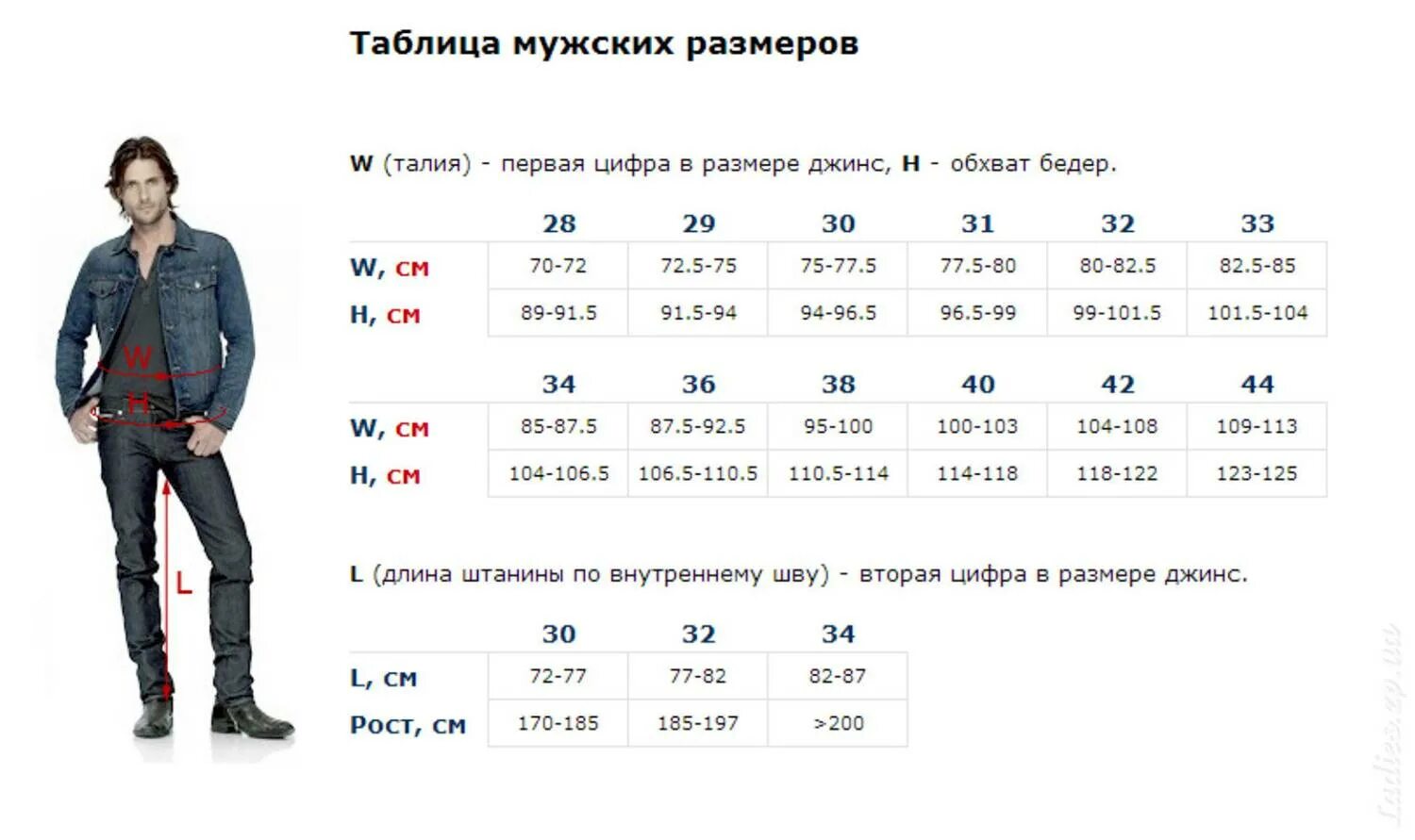 Джинсы 60 размер мужской. Размеры мужских джинсов w34 l34. Джинсы размер w30 l34 русский размер. Джинсы мужские w36 l34 размер. 30 32 Размер джинс мужских таблица.