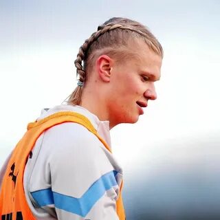 Holland style