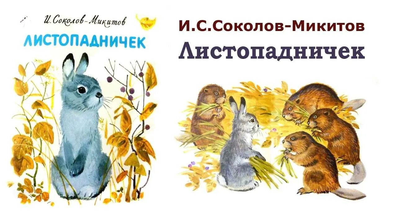 Читательский дневник листопадничек. Листопадничек Соколов-Микитов. Соколов-Микитов, сказка "Листопадничек". Иллюстрацию Ивана Соколова Микитов Листопадничек.