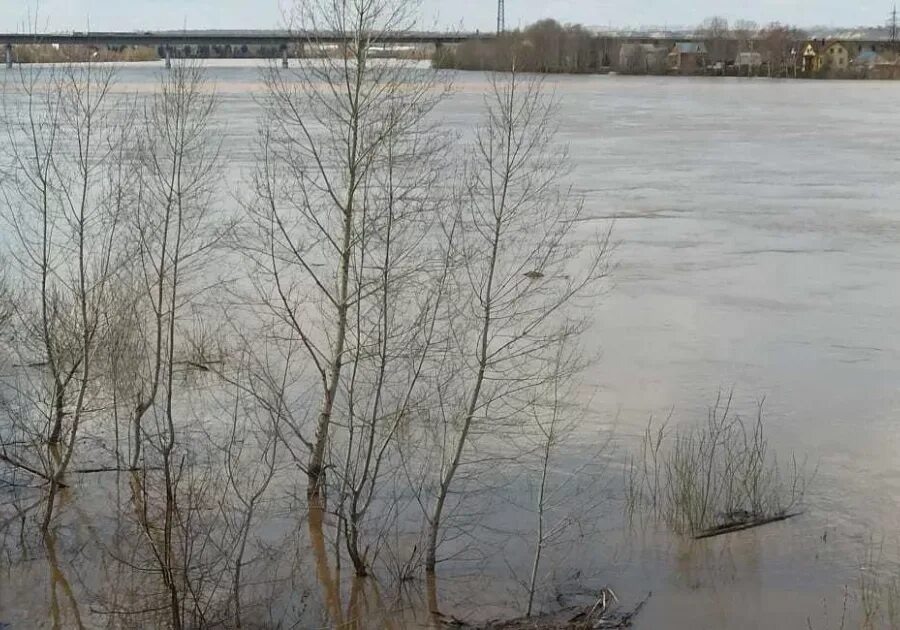 Уровень воды в реке уфа на сегодня. Уровень воды река Бия Бийск. Уровень воды в бии на сегодня в Бийске. Уровень воды в реке Бия. Уровень реки Бия в Бийске на сегодня.