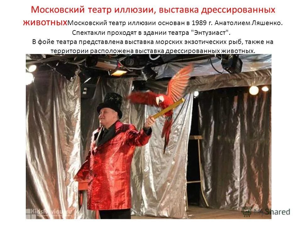 кинотеатр владивосток в перово. московский театр иллюзий перово. театр иллюзий. сдэк новоясеневский проспект 1б. анатолий ляшенко театр иллюзии.