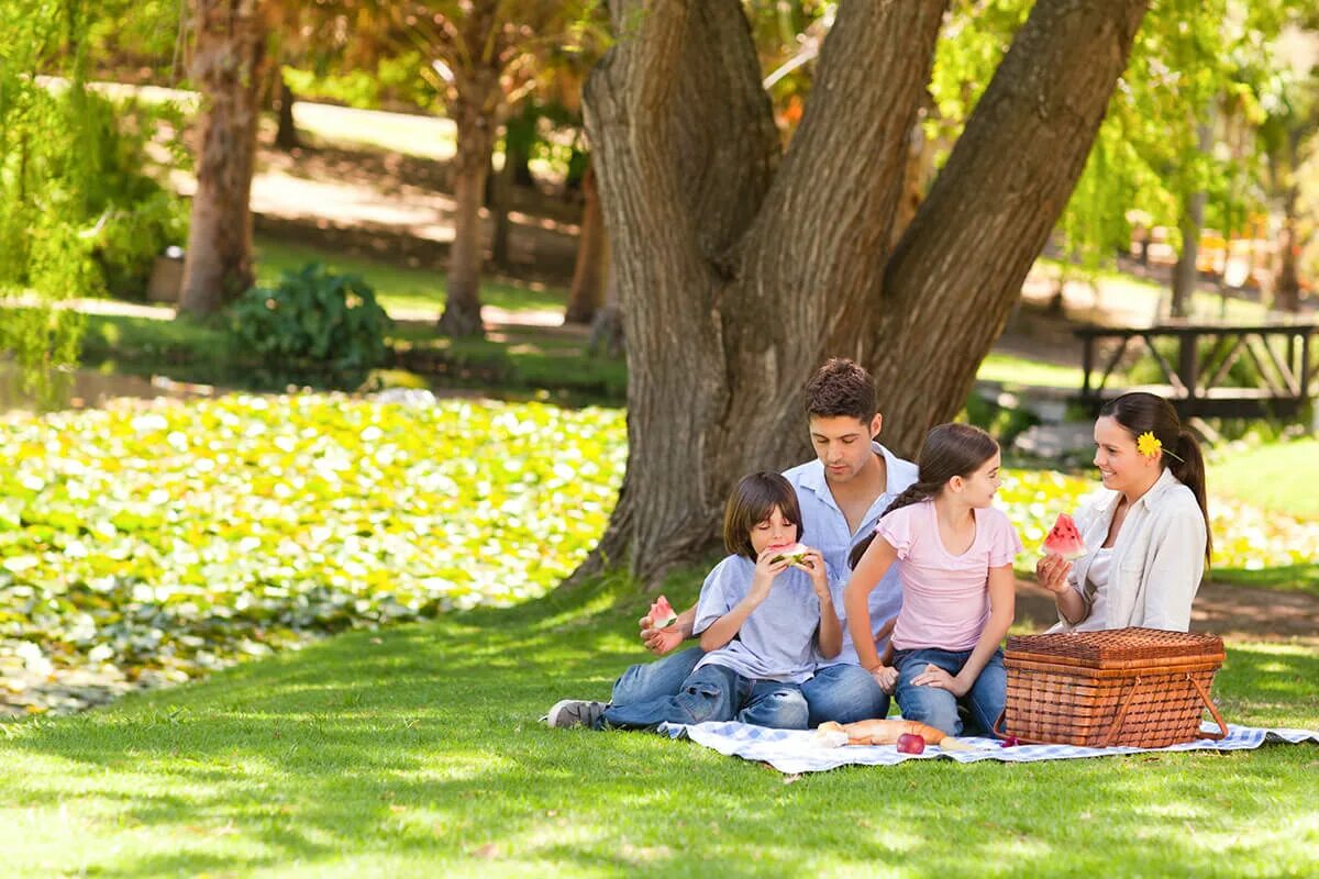 Park in. Парк США пикник на лужайке. Семья в парке. Люди отдыхают в парке. Люди в парке летом.