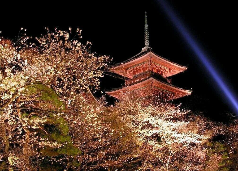 Japan 2